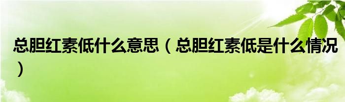 總膽紅素低什么意思（總膽紅素低是什么情況）