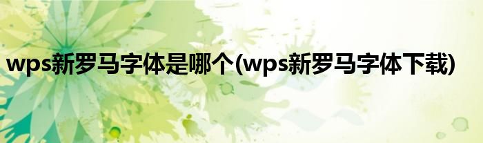 wps新羅馬字體是哪個(wps新羅馬字體下載)