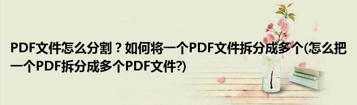 PDF文件怎么分割？如何將一個(gè)PDF文件拆分成多個(gè)(怎么把一個(gè)PDF拆分成多個(gè)PDF文件?)