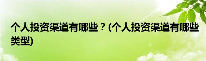 個人投資渠道有哪些？(個人投資渠道有哪些類型)