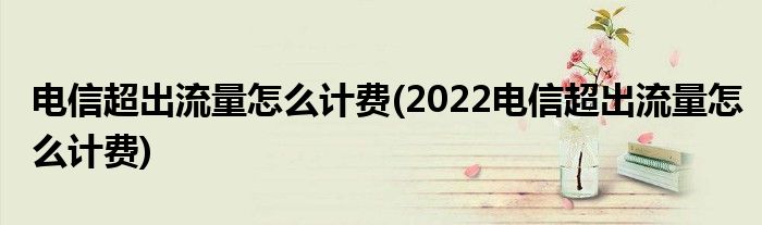 電信超出流量怎么計費(2022電信超出流量怎么計費)