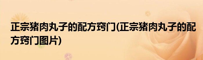 正宗豬肉丸子的配方竅門(正宗豬肉丸子的配方竅門圖片)