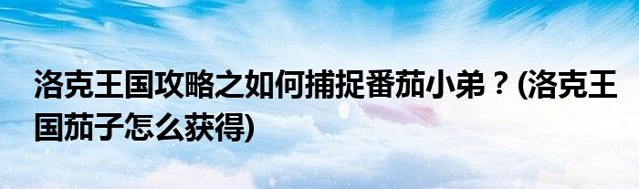 洛克王國(guó)攻略之如何捕捉番茄小弟？(洛克王國(guó)茄子怎么獲得)