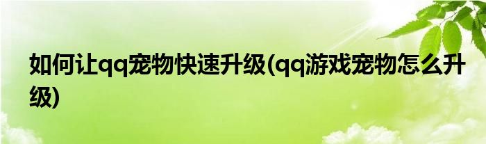 如何讓qq寵物快速升級(qq游戲?qū)櫸镌趺瓷?