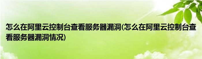 怎么在阿里云控制臺查看服務(wù)器漏洞(怎么在阿里云控制臺查看服務(wù)器漏洞情況)