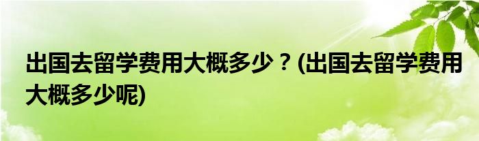 出國(guó)去留學(xué)費(fèi)用大概多少？(出國(guó)去留學(xué)費(fèi)用大概多少呢)