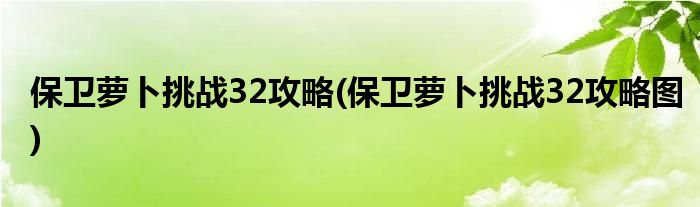 保衛(wèi)蘿卜挑戰(zhàn)32攻略(保衛(wèi)蘿卜挑戰(zhàn)32攻略圖)