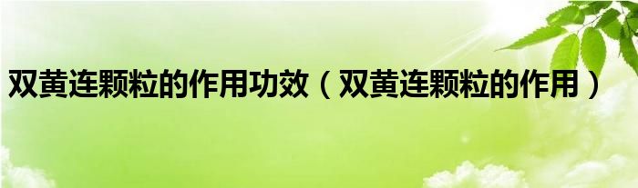 雙黃連顆粒的作用功效（雙黃連顆粒的作用）