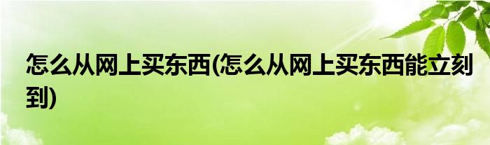 怎么從網(wǎng)上買東西(怎么從網(wǎng)上買東西能立刻到)