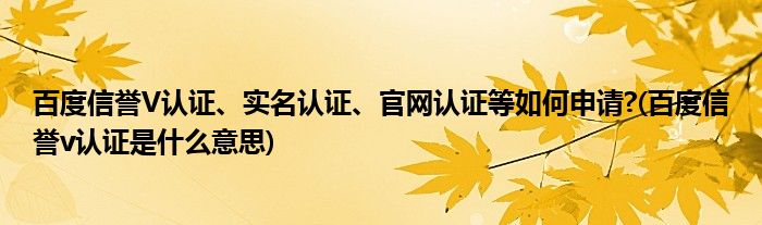 百度信譽V認證、實名認證、官網認證等如何申請?(百度信譽v認證是什么意思)