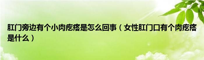 肛門(mén)旁邊有個(gè)小肉疙瘩是怎么回事（女性肛門(mén)口有個(gè)肉疙瘩是什么）