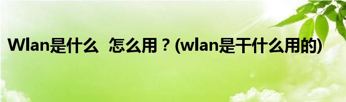 Wlan是什么  怎么用？(wlan是干什么用的)