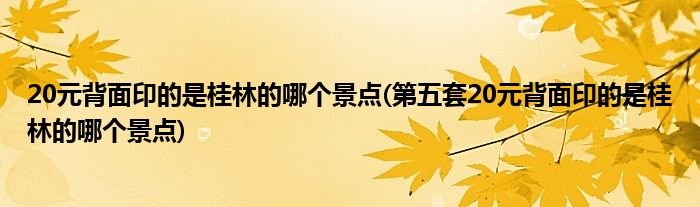 20元背面印的是桂林的哪個景點(第五套20元背面印的是桂林的哪個景點)