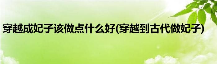 穿越成妃子該做點(diǎn)什么好(穿越到古代做妃子)