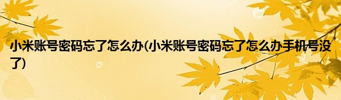 小米賬號密碼忘了怎么辦(小米賬號密碼忘了怎么辦手機號沒了)