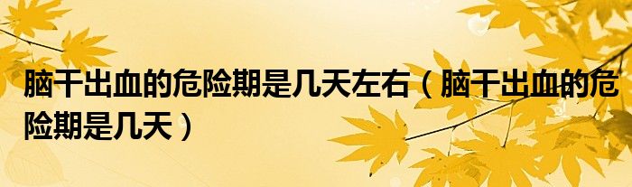 腦干出血的危險(xiǎn)期是幾天左右（腦干出血的危險(xiǎn)期是幾天）