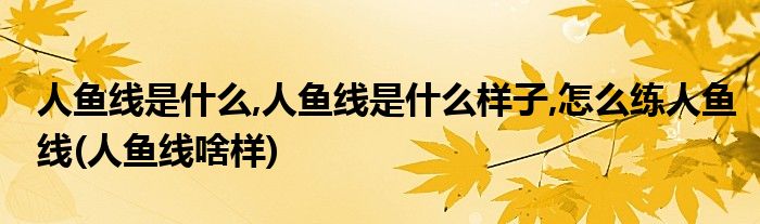 人魚線是什么,人魚線是什么樣子,怎么練人魚線(人魚線啥樣)