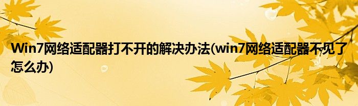 Win7網(wǎng)絡(luò)適配器打不開的解決辦法(win7網(wǎng)絡(luò)適配器不見了怎么辦)