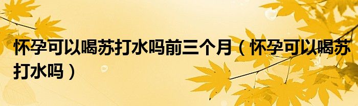 懷孕可以喝蘇打水嗎前三個(gè)月（懷孕可以喝蘇打水嗎）