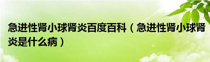 急進(jìn)性腎小球腎炎百度百科（急進(jìn)性腎小球腎炎是什么?。? /></span>
		<span id=