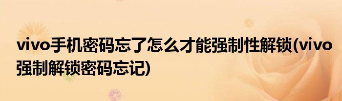 vivo手機密碼忘了怎么才能強制性解鎖(vivo強制解鎖密碼忘記)