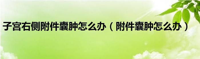 子宮右側(cè)附件囊腫怎么辦（附件囊腫怎么辦）