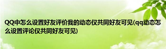 QQ中怎么設(shè)置好友評價我的動態(tài)僅共同好友可見(qq動態(tài)怎么設(shè)置評論僅共同好友可見)