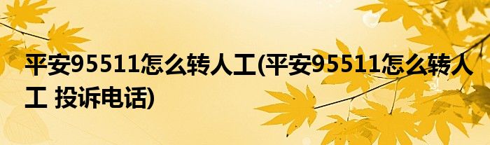 平安95511怎么轉(zhuǎn)人工(平安95511怎么轉(zhuǎn)人工 投訴電話)