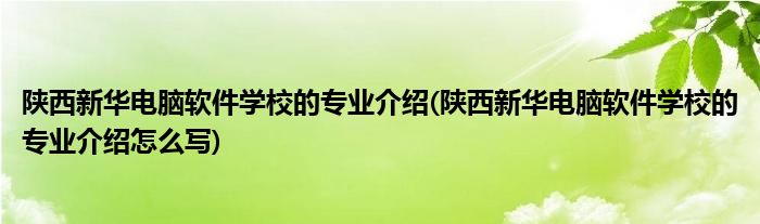 陜西新華電腦軟件學校的專業(yè)介紹(陜西新華電腦軟件學校的專業(yè)介紹怎么寫)