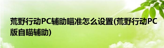 荒野行動PC輔助瞄準怎么設置(荒野行動PC版自瞄輔助)