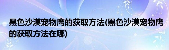 黑色沙漠寵物鷹的獲取方法(黑色沙漠寵物鷹的獲取方法在哪)