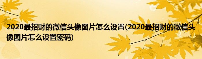 2020最招財?shù)奈⑿蓬^像圖片怎么設(shè)置(2020最招財?shù)奈⑿蓬^像圖片怎么設(shè)置密碼)