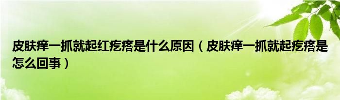 皮膚癢一抓就起紅疙瘩是什么原因（皮膚癢一抓就起疙瘩是怎么回事）