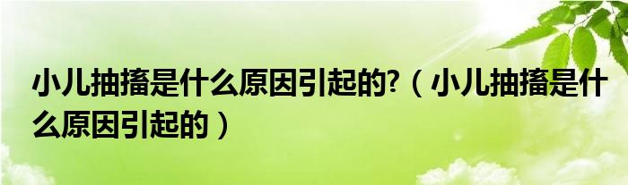 小兒抽搐是什么原因引起的?（小兒抽搐是什么原因引起的）