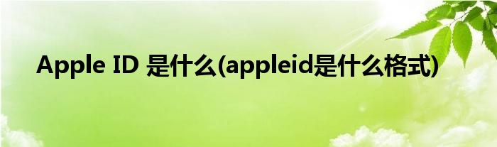 Apple ID 是什么(appleid是什么格式)