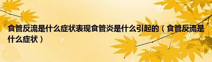 食管反流是什么癥狀表現(xiàn)食管炎是什么引起的（食管反流是什么癥狀）