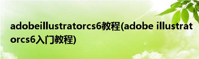 adobeillustratorcs6教程(adobe illustratorcs6入門教程)