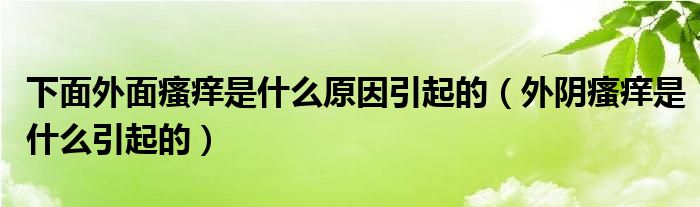 下面外面瘙癢是什么原因引起的（外陰瘙癢是什么引起的）