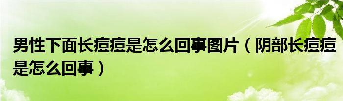 男性下面長痘痘是怎么回事圖片（陰部長痘痘是怎么回事）