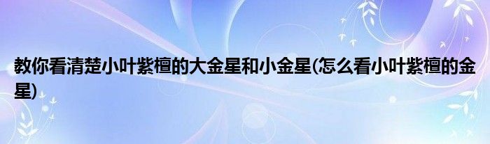 教你看清楚小葉紫檀的大金星和小金星(怎么看小葉紫檀的金星)