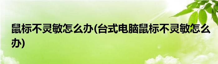 鼠標(biāo)不靈敏怎么辦(臺(tái)式電腦鼠標(biāo)不靈敏怎么辦)