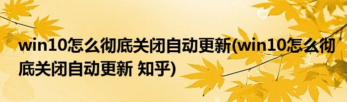 win10怎么徹底關(guān)閉自動更新(win10怎么徹底關(guān)閉自動更新 知乎)