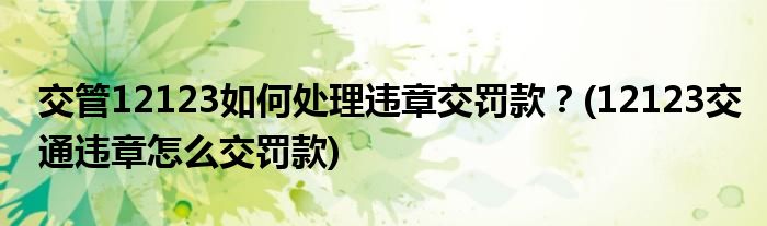 交管12123如何處理違章交罰款？(12123交通違章怎么交罰款)