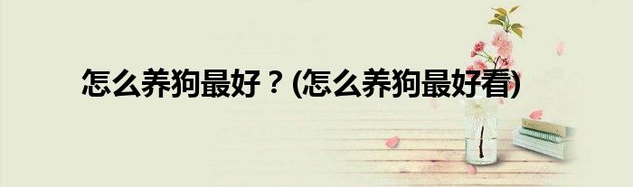 怎么養(yǎng)狗最好？(怎么養(yǎng)狗最好看)