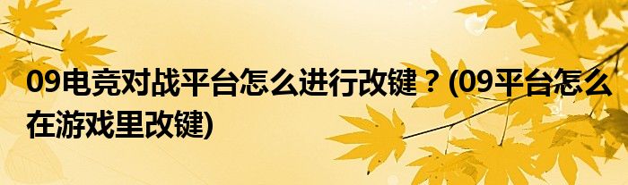 09電競(jìng)對(duì)戰(zhàn)平臺(tái)怎么進(jìn)行改鍵？(09平臺(tái)怎么在游戲里改鍵)