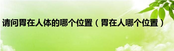 請(qǐng)問(wèn)胃在人體的哪個(gè)位置（胃在人哪個(gè)位置）