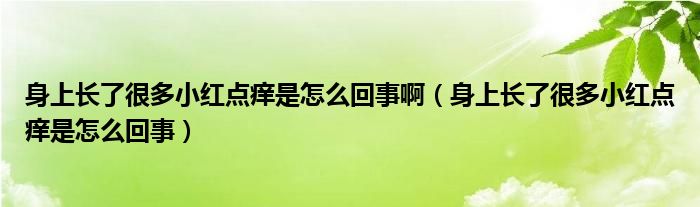 身上長了很多小紅點癢是怎么回事?。ㄉ砩祥L了很多小紅點癢是怎么回事）