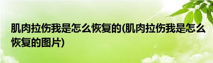 肌肉拉傷我是怎么恢復(fù)的(肌肉拉傷我是怎么恢復(fù)的圖片)