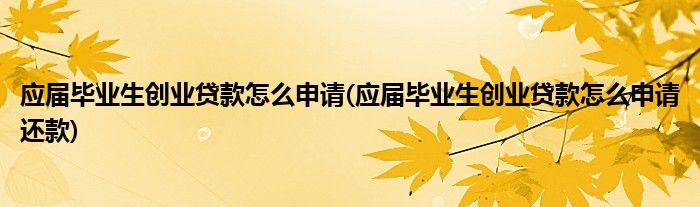 應(yīng)屆畢業(yè)生創(chuàng)業(yè)貸款怎么申請(應(yīng)屆畢業(yè)生創(chuàng)業(yè)貸款怎么申請還款)