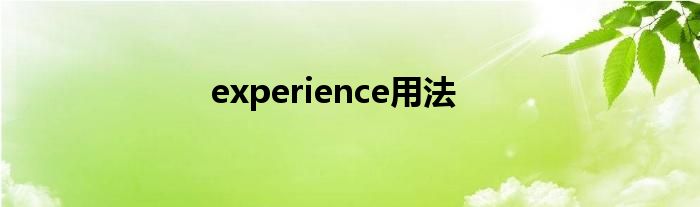 experience用法